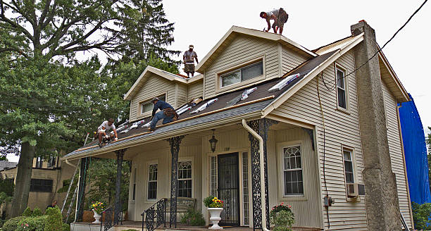 Best Emergency Roof Repair  in Westchase, FL