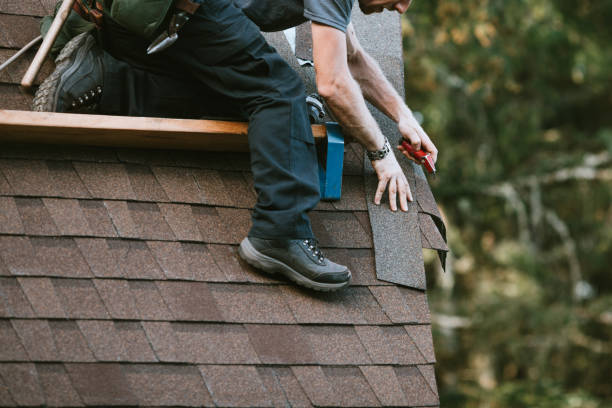 Best Metal Roofing Contractor  in Westchase, FL